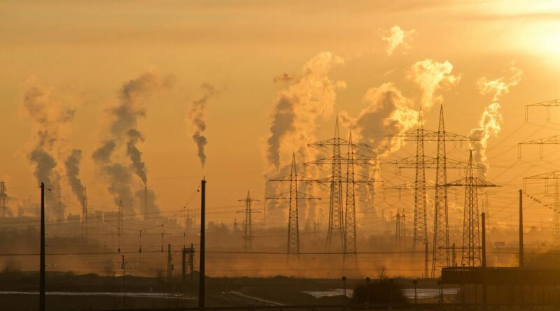 The LL.M. in Environmental and Sustainability Law: Preparing Lawyers for a Greener Future
