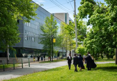 Where Should You Study Law? Comparing the World's Leading LLM Destinations
